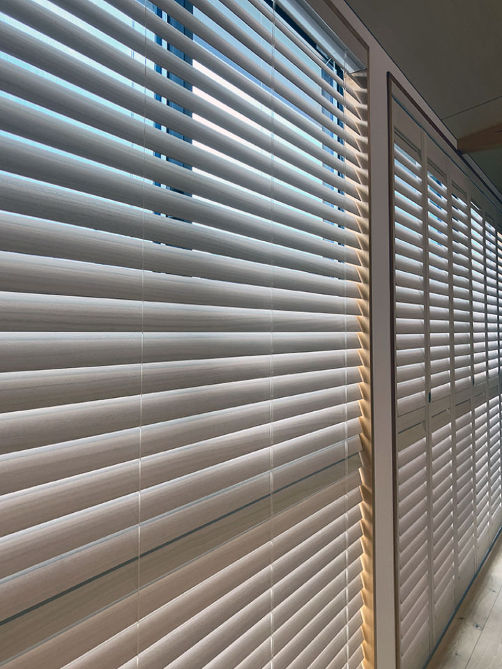 愛猫と光を楽しむ日常の写真4