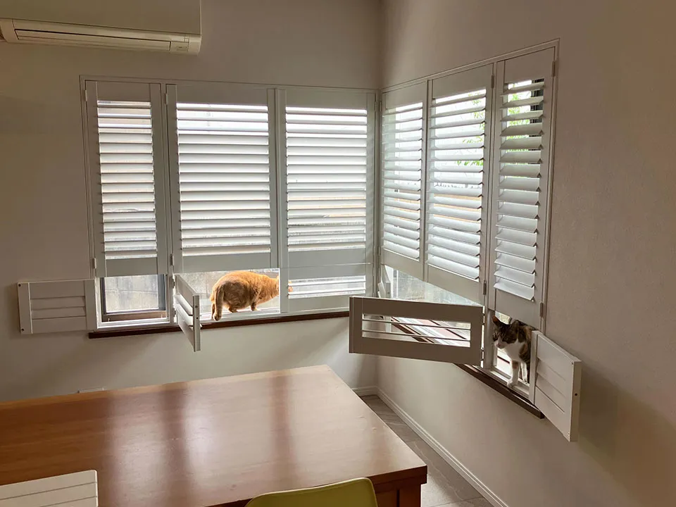 猫と人に寄り添う上質な窓辺の写真2