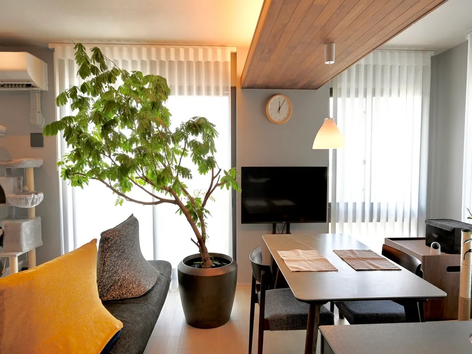 光と影が奏でるリビングの写真3