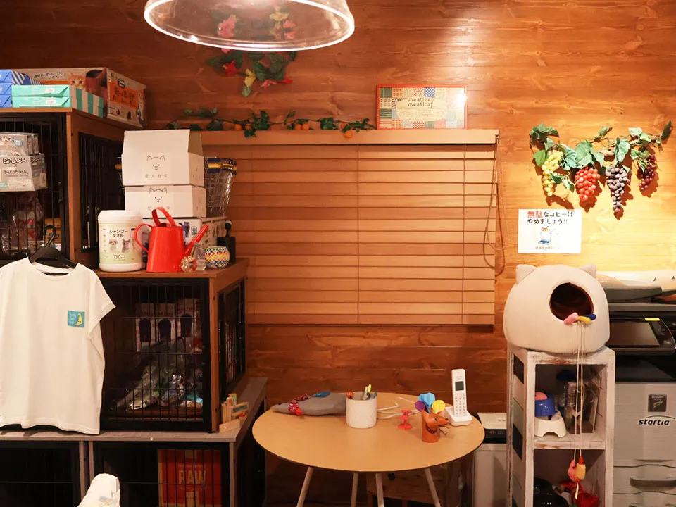 TVドラマ『初恋DOGs』美術協力の写真4