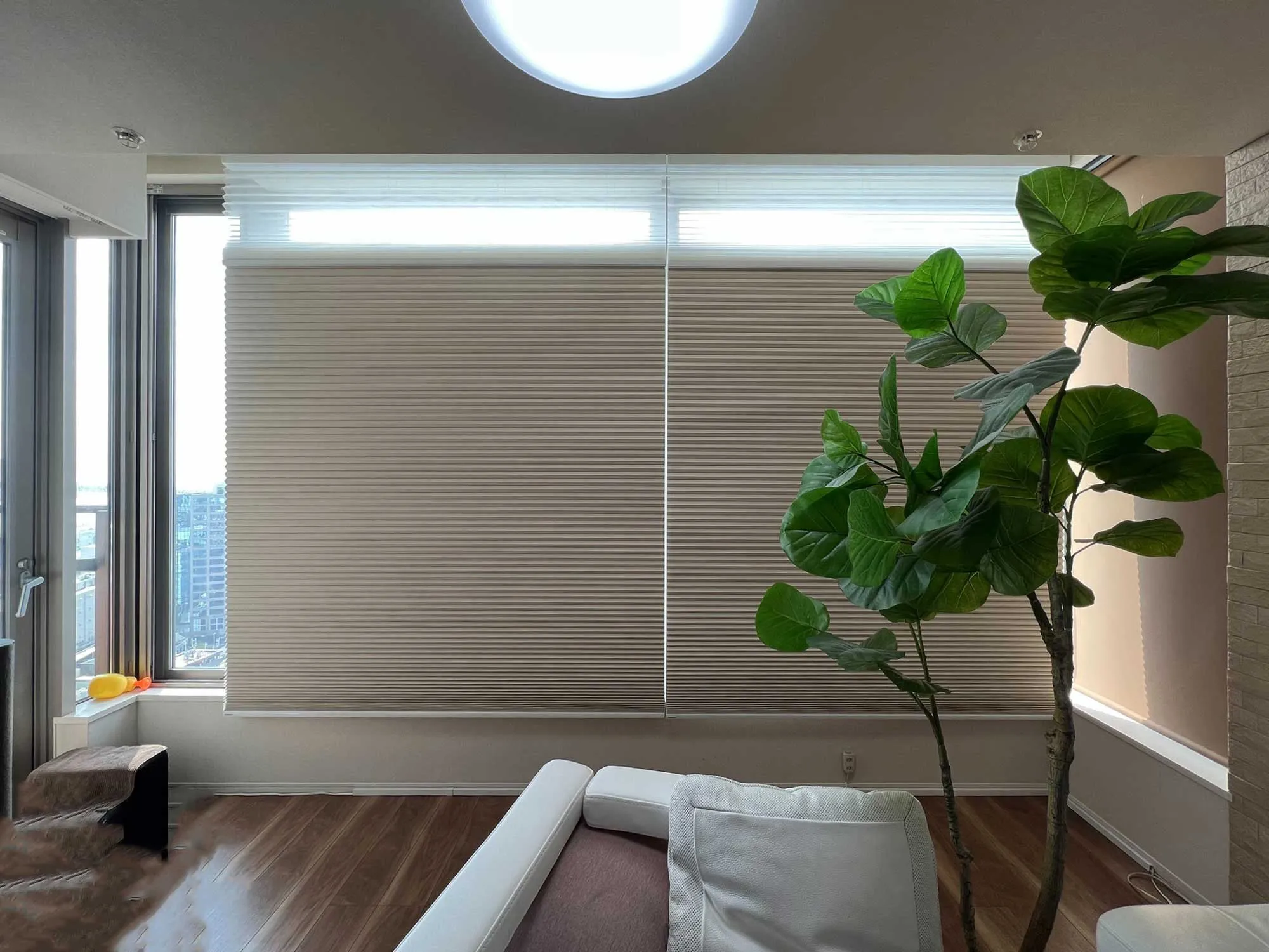 配線不要! 手軽な電動ハニカムエコスクリーンの写真4