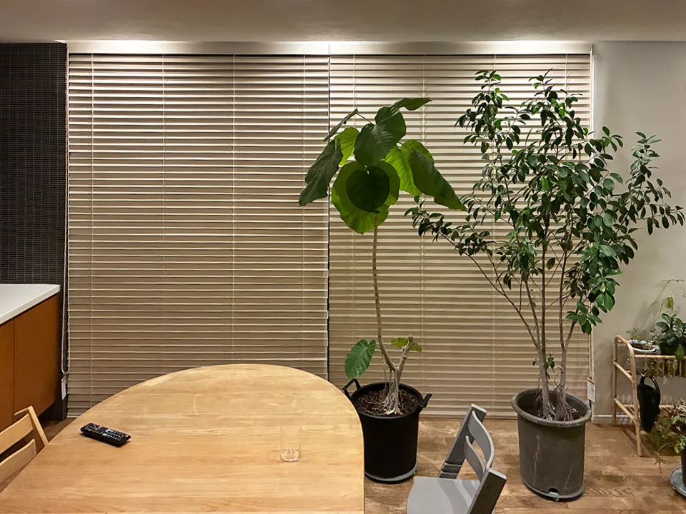 観葉植物が映えるウッドブラインドの写真5