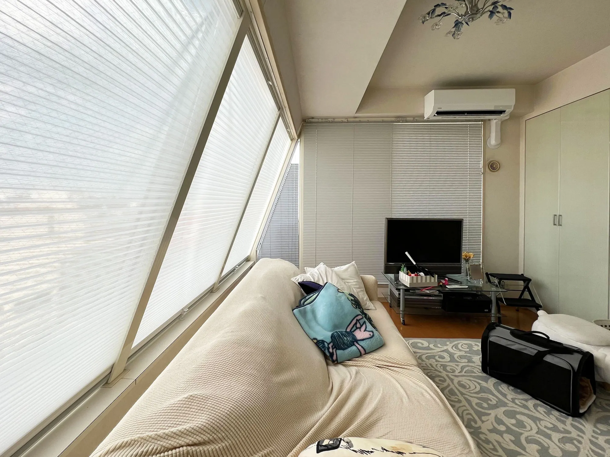 大きな傾斜窓にも取り付け可能の写真2