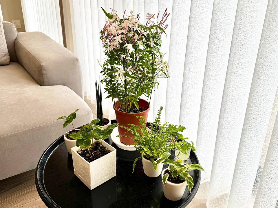 小さなお子様とペットに優しいマンション窓まわりの写真3