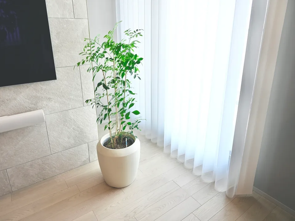 光と影が奏でるリビングの写真2