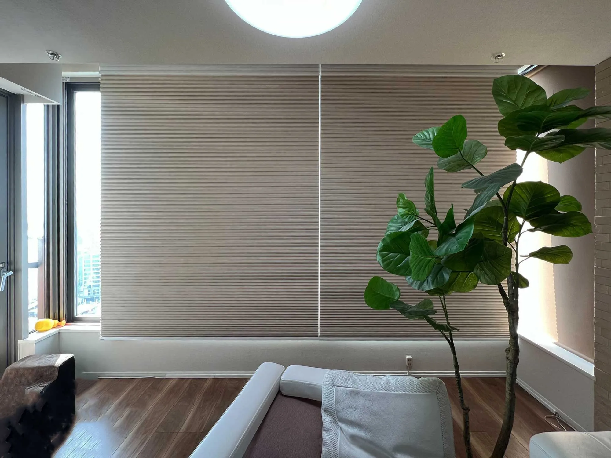 配線不要! 手軽な電動ハニカムエコスクリーンの写真5