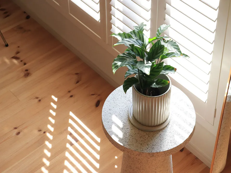 『NIKO LIFE』タイアップ企画の写真8