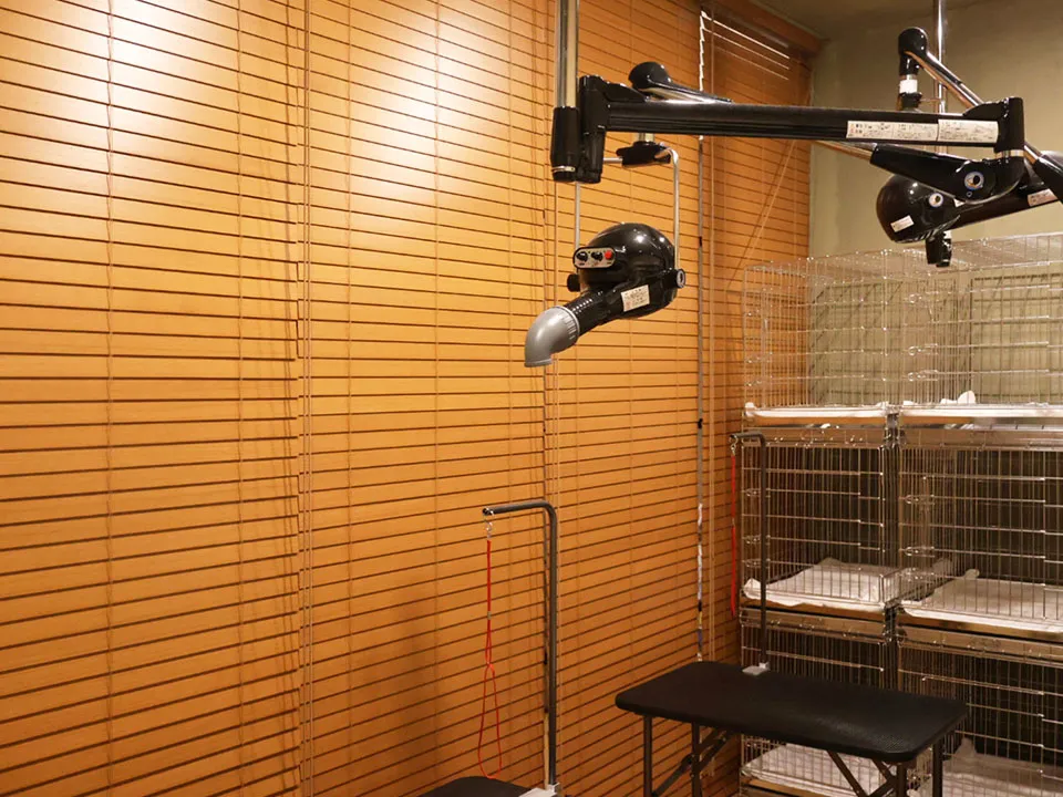 TVドラマ『初恋DOGs』美術協力の写真8