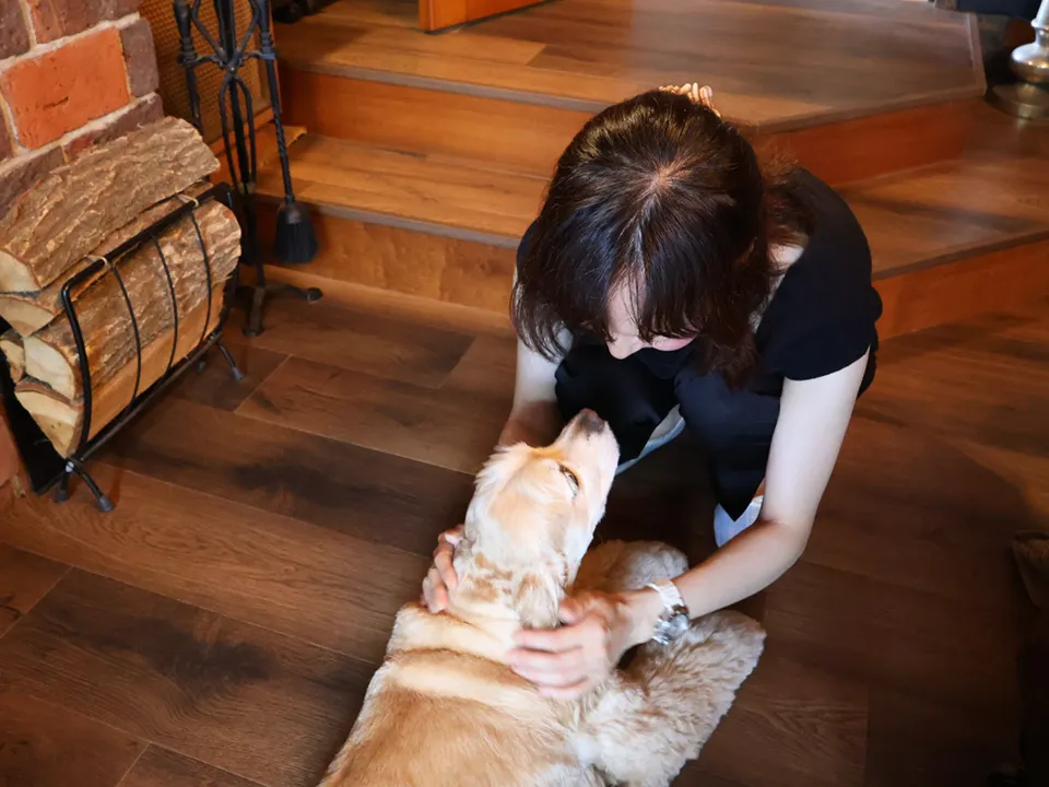 理想を叶えたアートのような空間の写真14