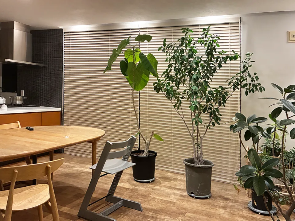 観葉植物が映えるウッドブラインド