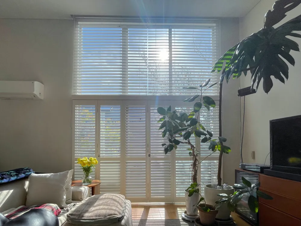 一面の窓にブラインドとシャッターの組み合わせの写真3
