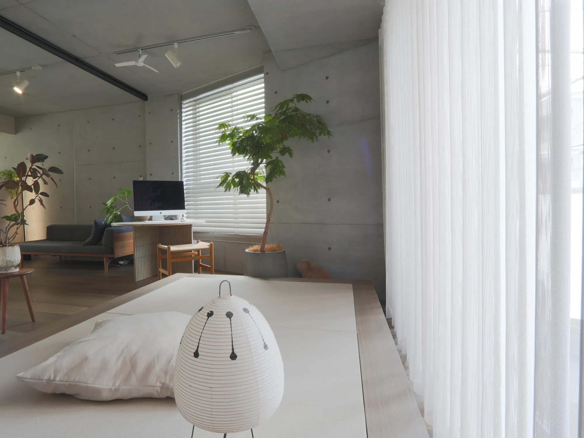 『建築家二人暮らし』タイアップ企画の写真11