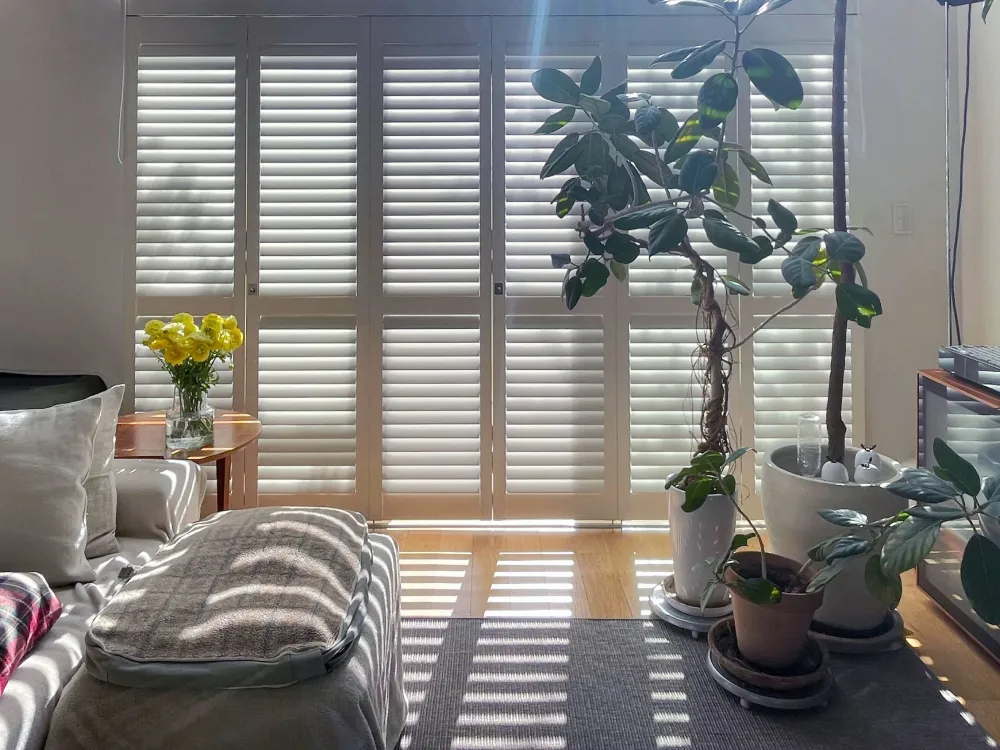 一面の窓にブラインドとシャッターの組み合わせの写真4