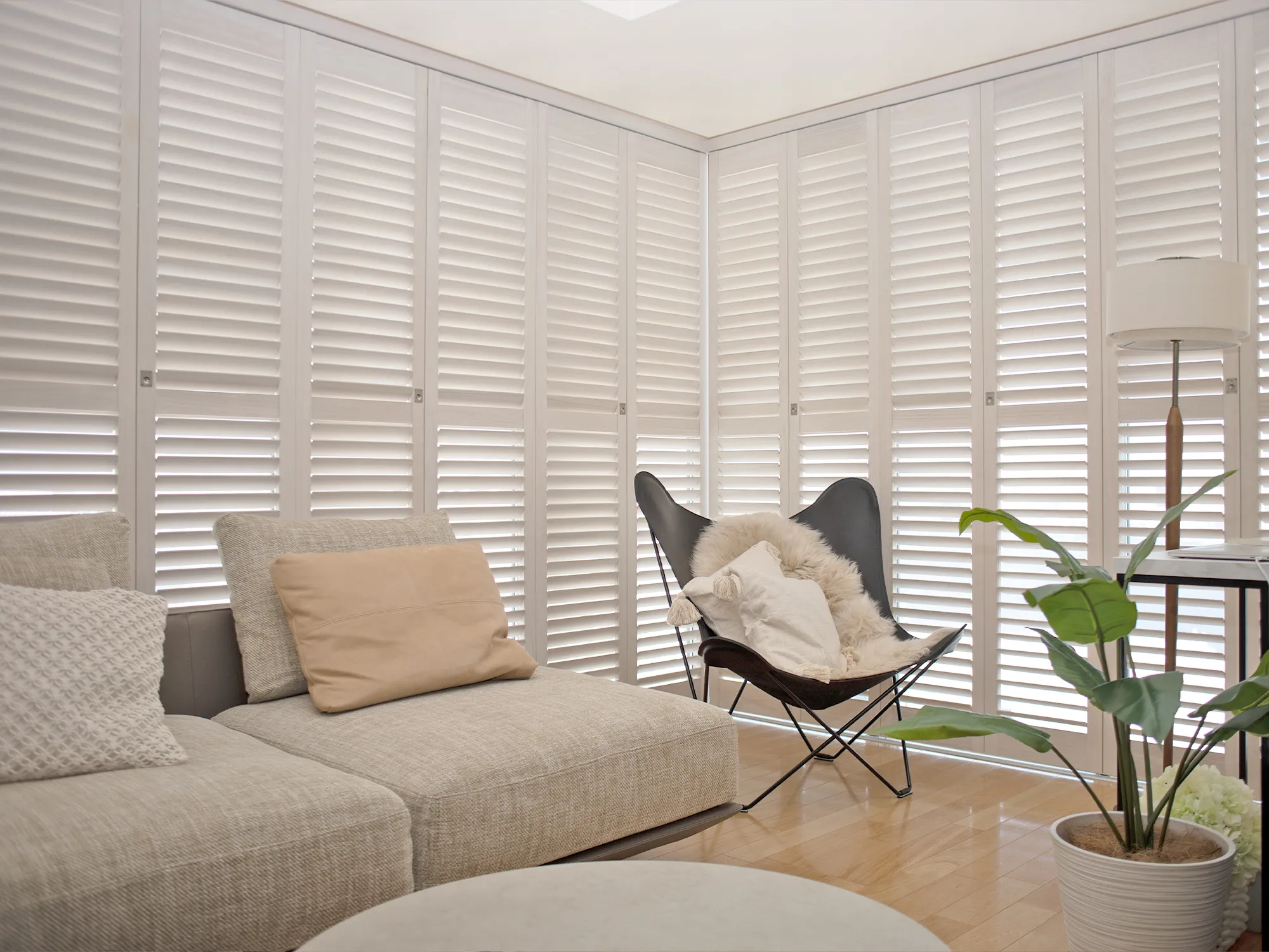 海外好きが高じて自宅の窓まわりに選定の写真2