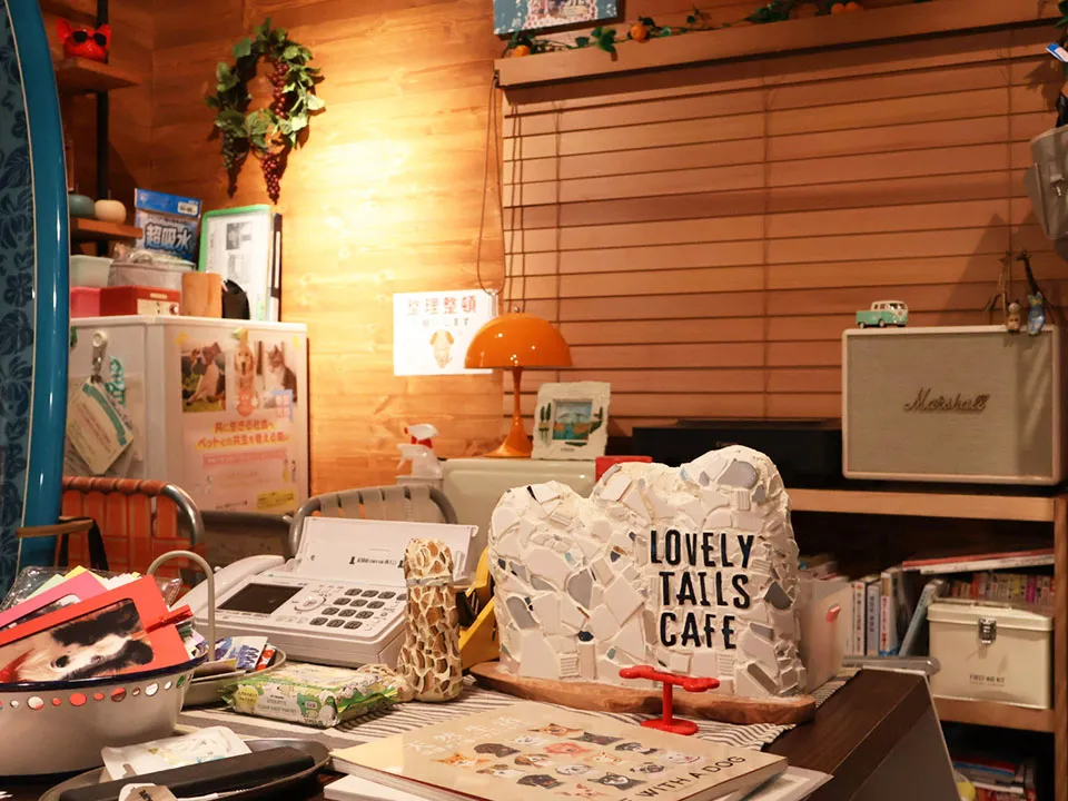 TVドラマ『初恋DOGs』美術協力の写真3