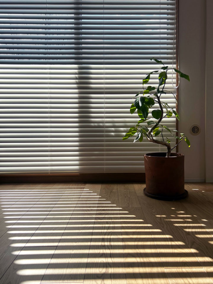 ブラインドが描く、影のアートの写真4