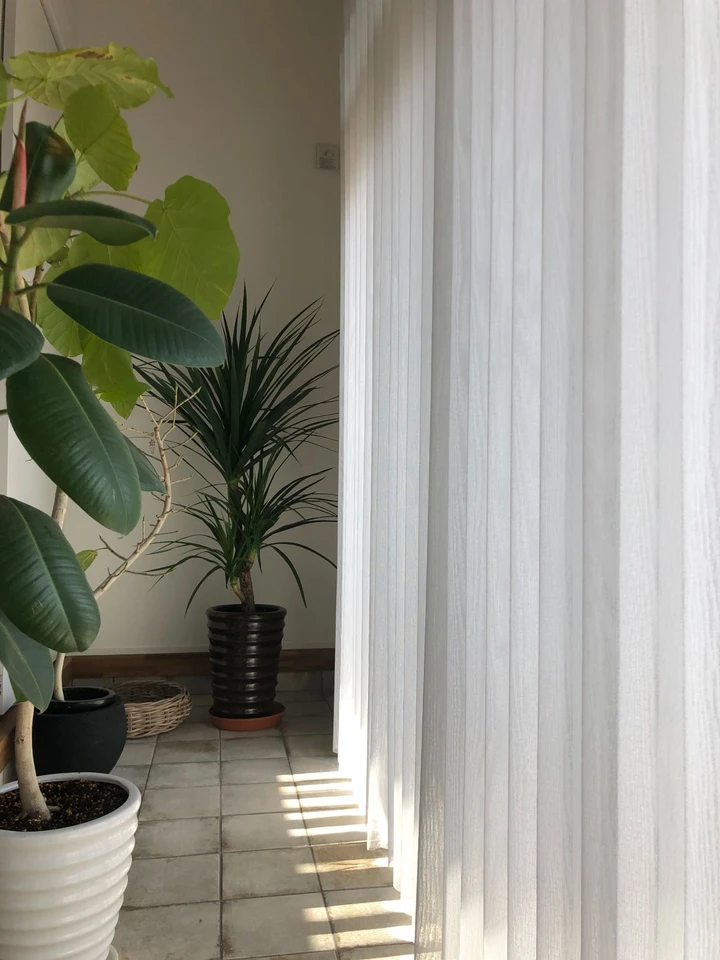 透明感でつなぐ暮らしの写真4