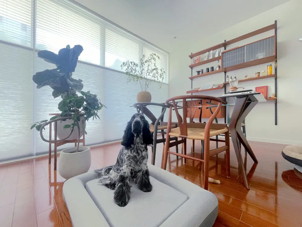 北欧スタイルに繊細な質感が調和