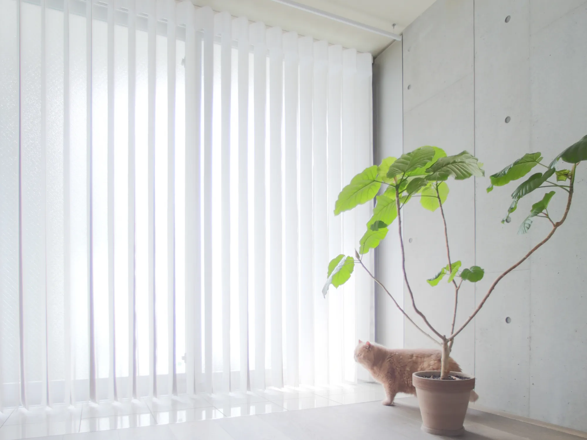 『建築家二人暮らし』タイアップ企画の写真2