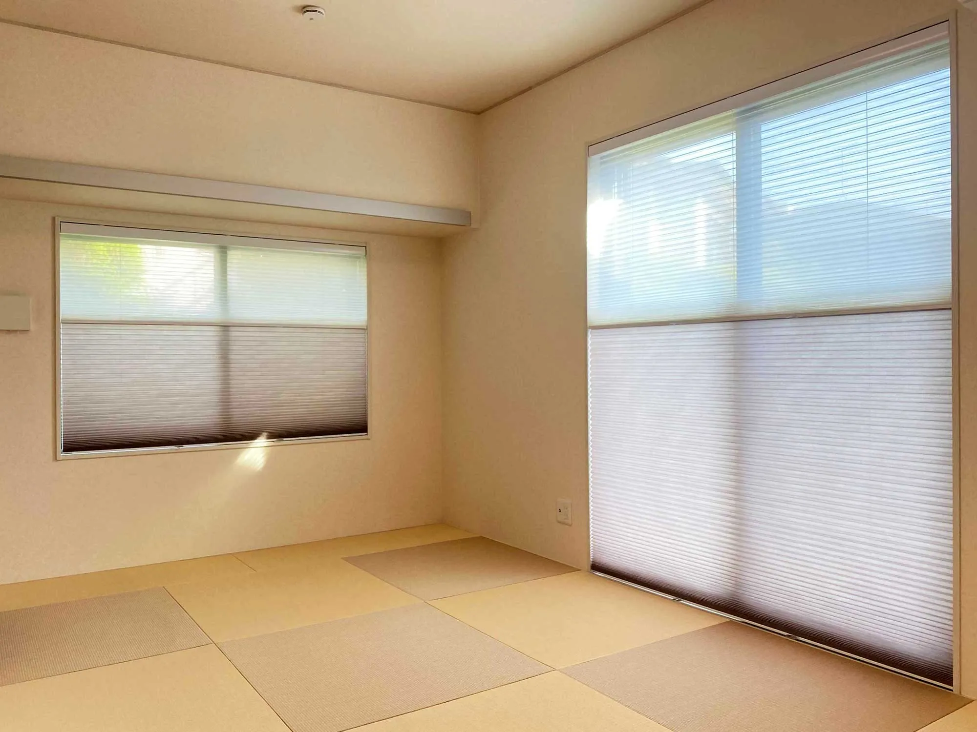 YouTubeが後押ししたオールラウンダー製品