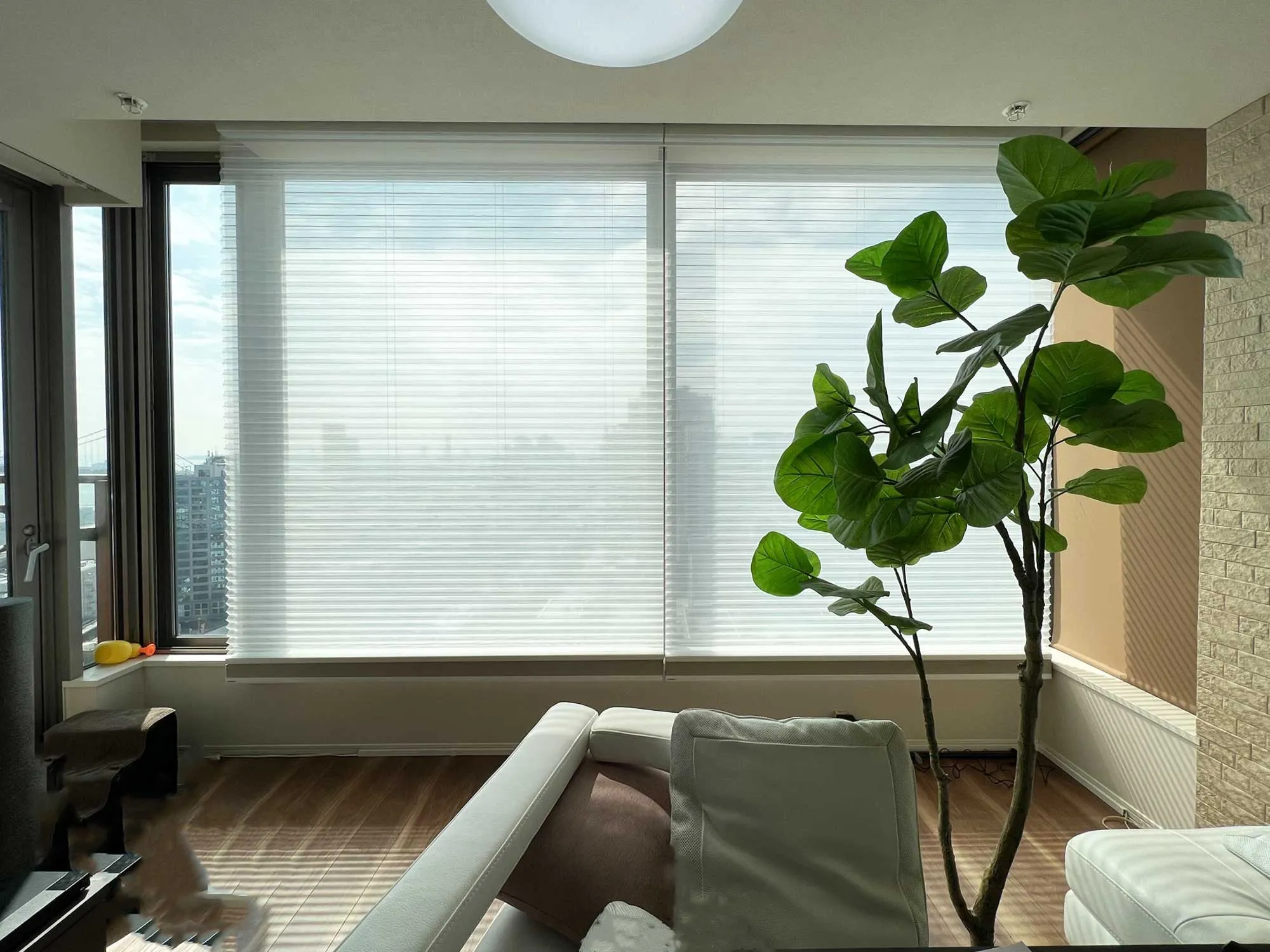 配線不要! 手軽な電動ハニカムエコスクリーンの写真2