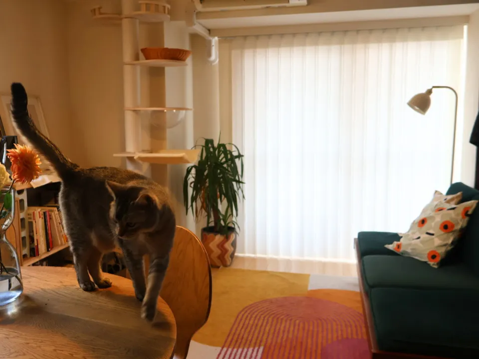 賃貸でも、心地よい暮らしの写真11