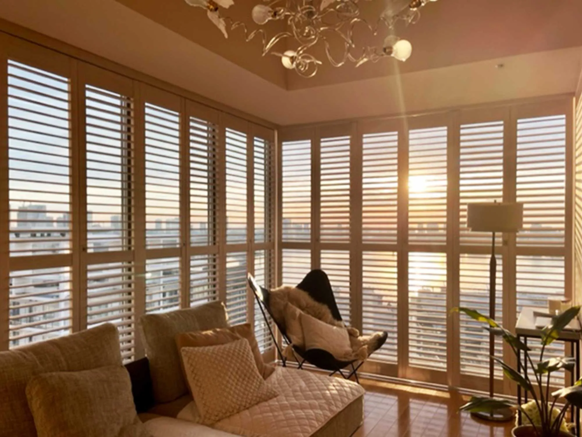 海外好きが高じて自宅の窓まわりに選定の写真7