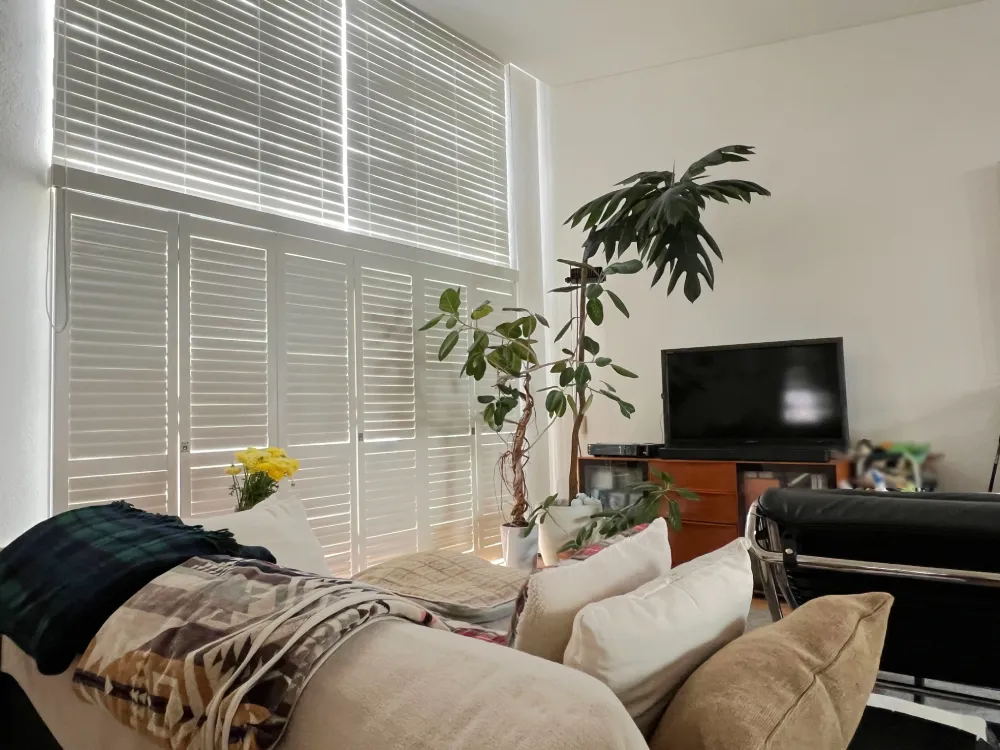 一面の窓にブラインドとシャッターの組み合わせの写真2