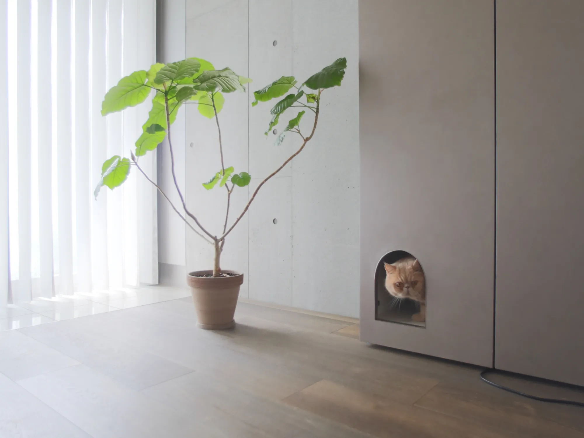 『建築家二人暮らし』タイアップ企画の写真5