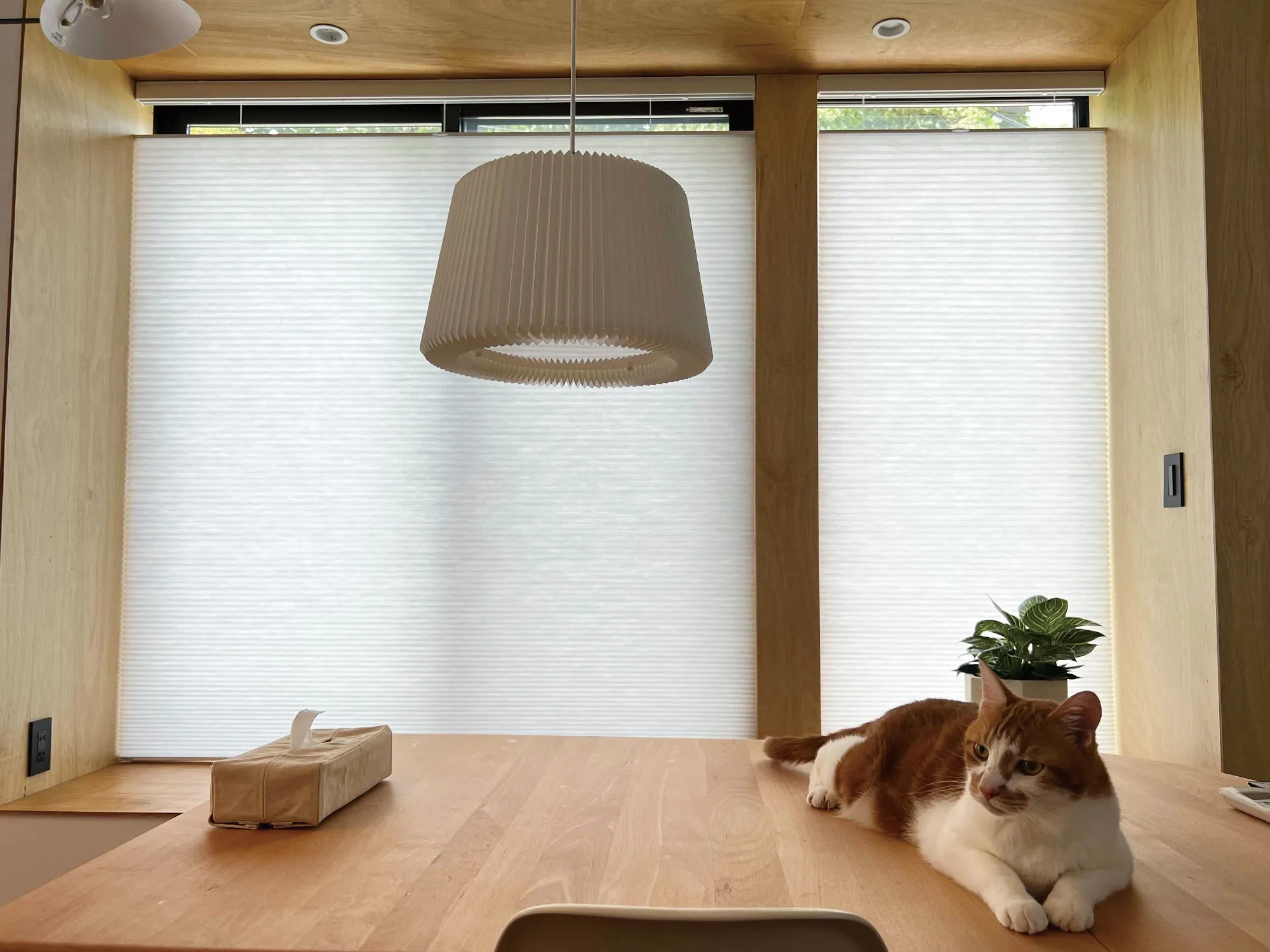 ２階リビングに設けたこだわり空間の写真1