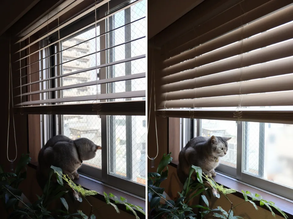 賃貸でも、心地よい暮らしの写真9