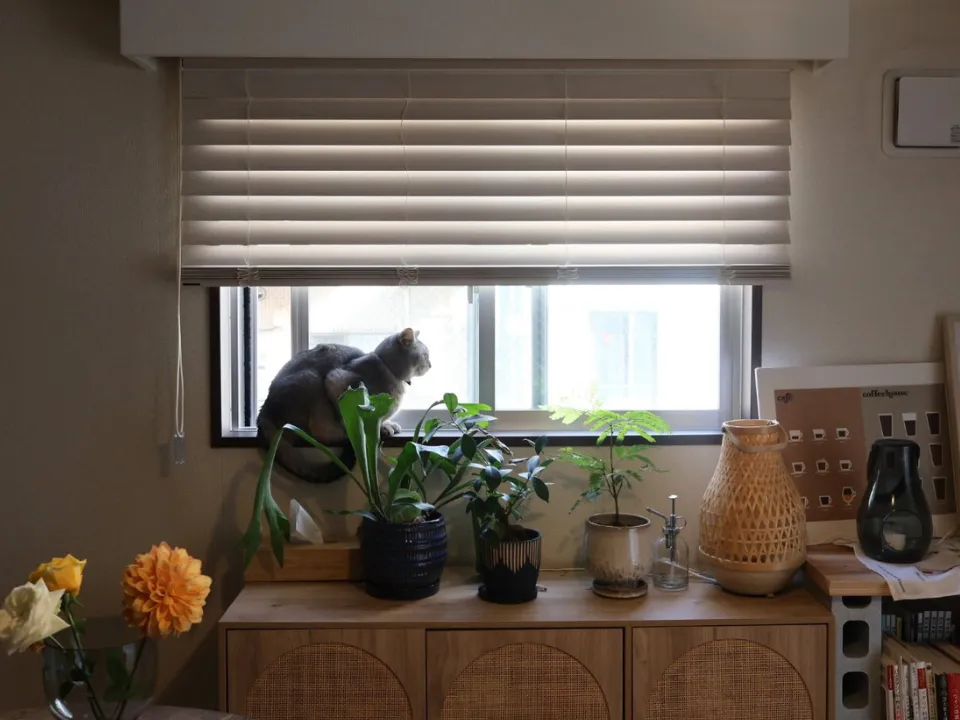 賃貸でも、心地よい暮らしの写真2