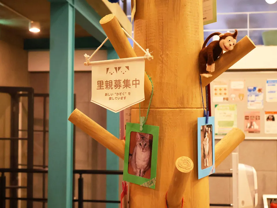 TVドラマ『初恋DOGs』美術協力の写真11