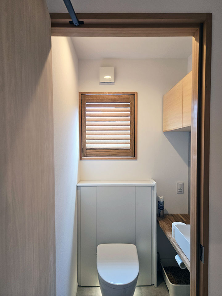 愛猫と光を楽しむ日常の写真6