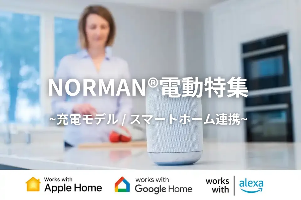 配線工事不要 ! NORMAN®の充電モデル特集