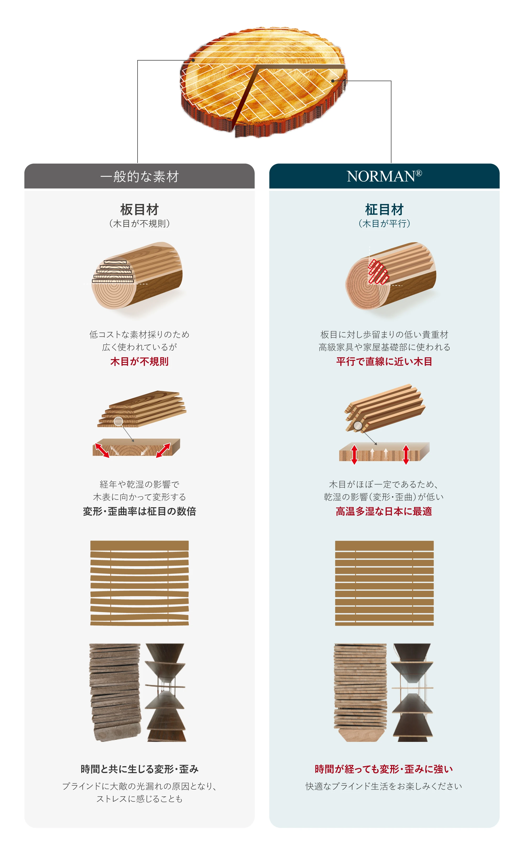 ウエスタンレッドシダーブラインドで使われる「板目材」と「柾目材」の比較説明図。上部に木材の断面図、中央に各特徴やメリット・デメリットが詳細に説明されている。