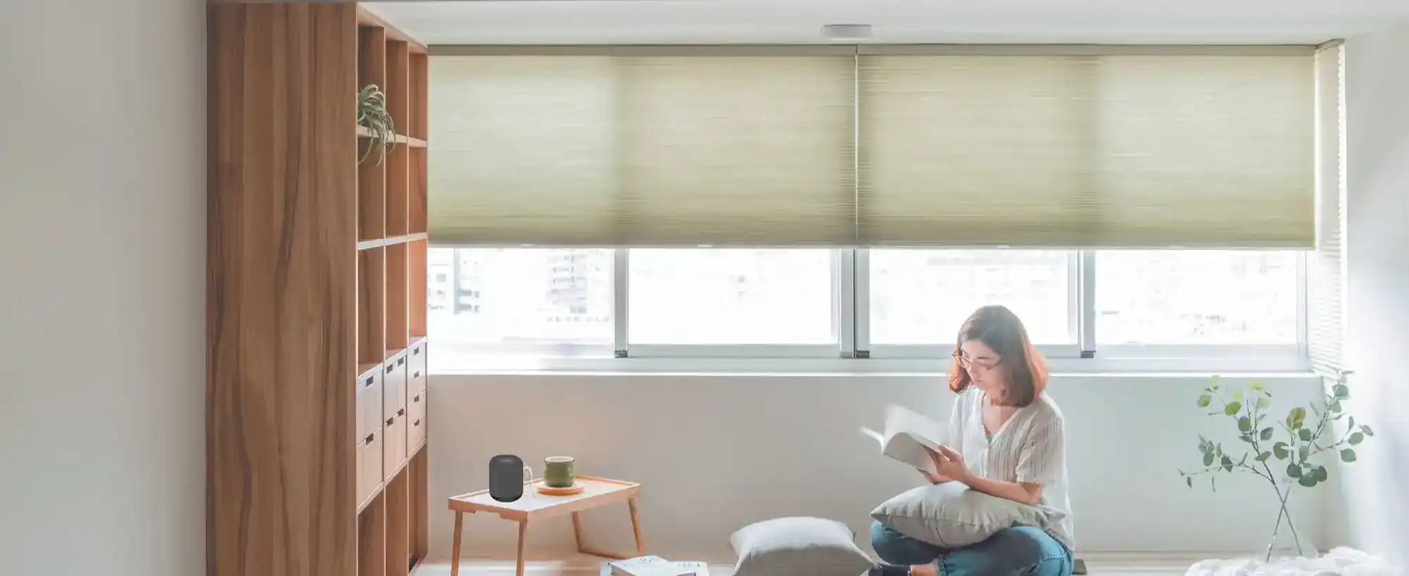 電動タイプのハニカムエコスクリーンの前で本を読む女性