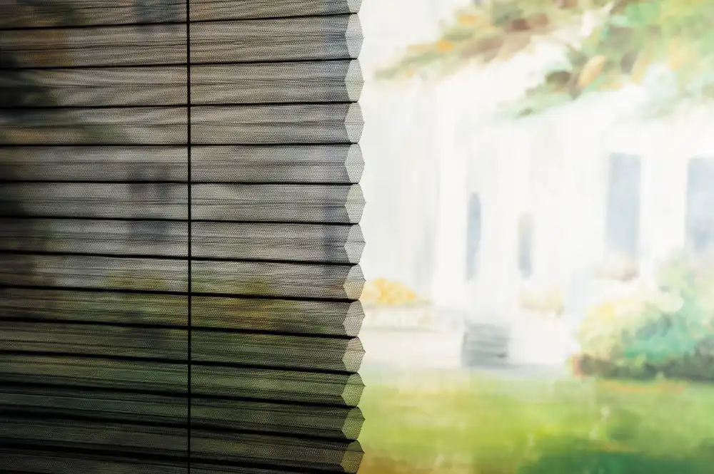 レース生地のクローズアップ写真。窓の外の風景がぼんやりと見えている。