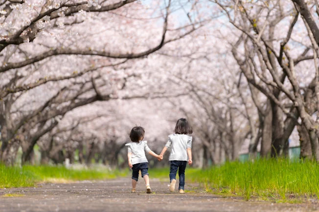 桜並木の下を小さな子どもが二人、手をつないで歩いている様子（イメージ画像）