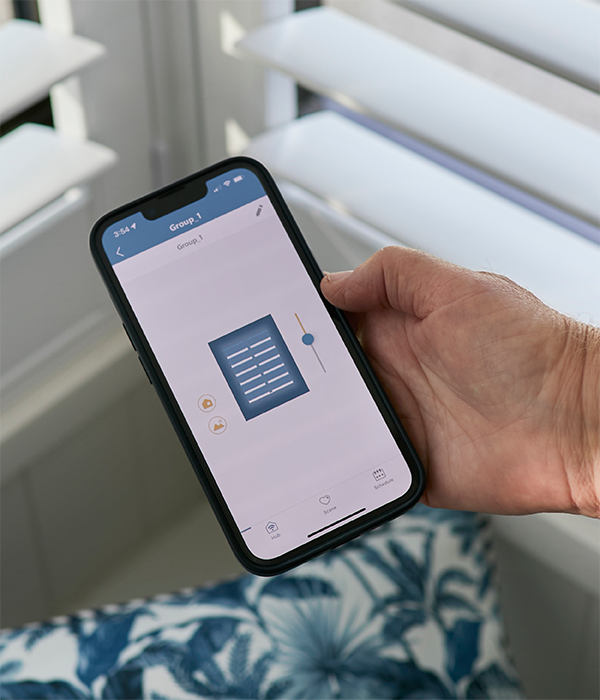 フラグシップモデル